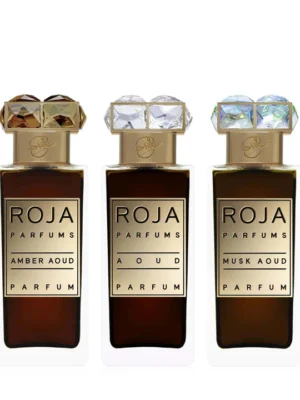 AOUD PARFUM DE VOYAGE PERFUM