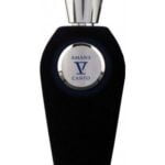 V Canto Amans Edp 100ml