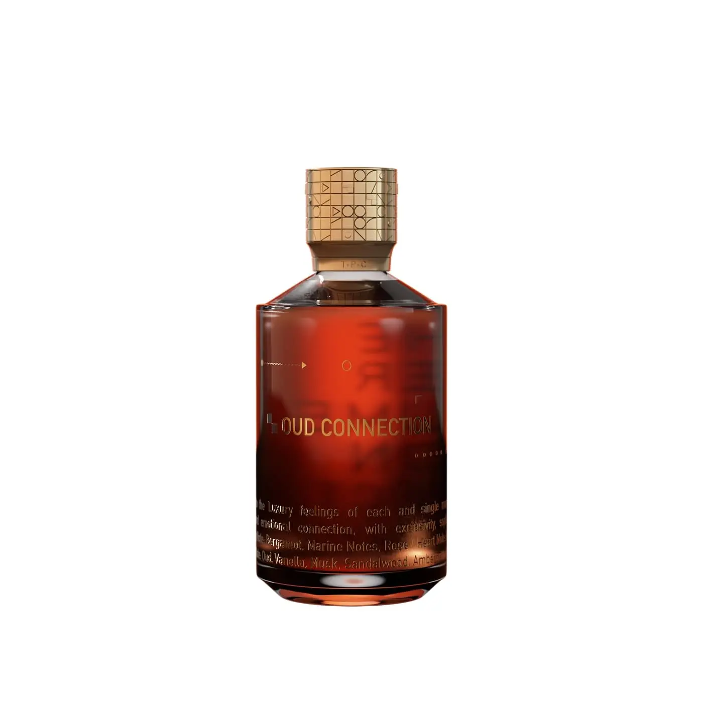 The Perfume Connection Oud Connection EDP 100ml